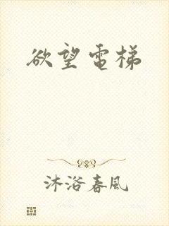 欲望电梯