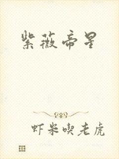 紫薇帝星封面