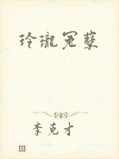 玲珑冤孽