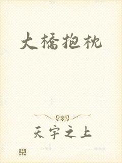 大桥抱枕