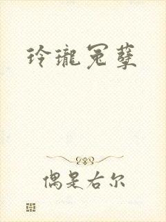 玲珑冤孽