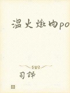 温火炖肉pop