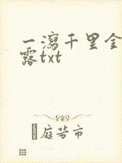 一泻千里金银花露txt