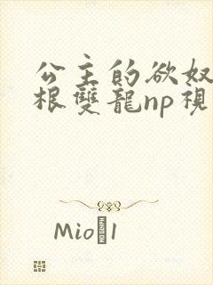 公主的欲奴h四根双龙np视频
