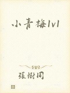 小青梅1v1