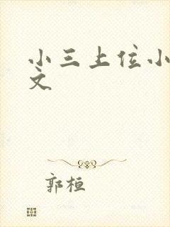 小三上位小说全文