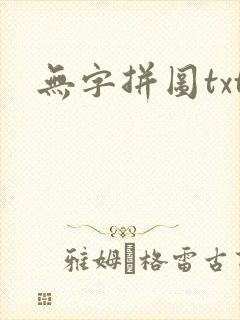 无字拼图txt封面