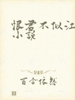 恨君不似江楼月小说