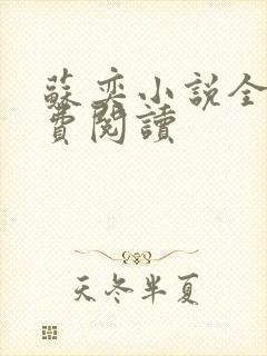 苏奕小说全文免费阅读封面