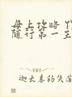 母上攻略 竹影随行第一主板