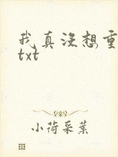 我真没想重生啊txt