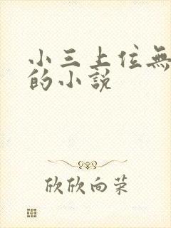 小三上位无三观的小说