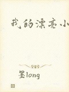 我的漂亮小后妈
