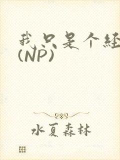 我只是个经纪人(NP)