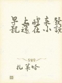 早上醒来发现巨龙还在小说