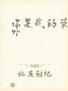 你是我的荣耀番外