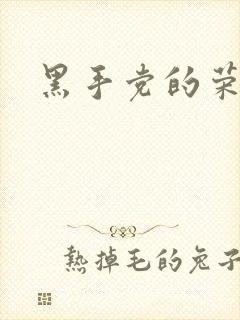 黑手党的荣耀