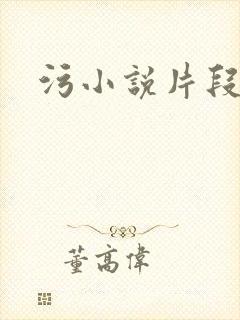 污小说片段封面