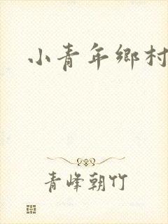 小青年乡村猎艳封面
