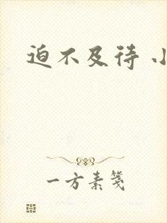 迫不及待 小穴