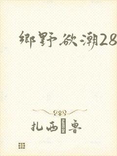 乡野欲潮28章