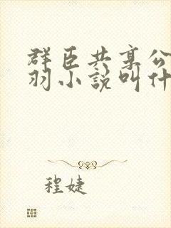 群臣共享公主银羽小说叫什么