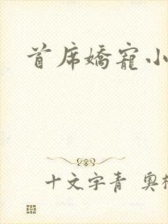 首席娇宠小情人