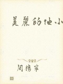 美丽的他小说封面