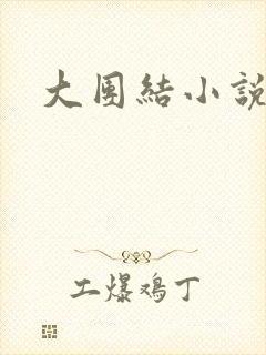 大团结小说阅读