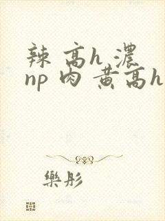 辣 高h 浓 np 肉 黄高h
