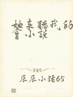 她来听我的演唱会小说