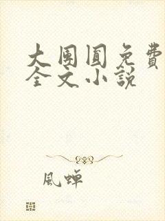 大团圆免费阅读全文小说
