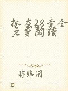 抓灰28章全部免费阅读