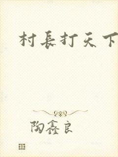 村长打天下
