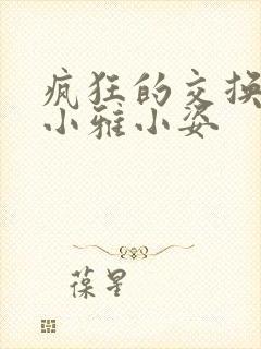 疯狂的交换小静小雅小姿