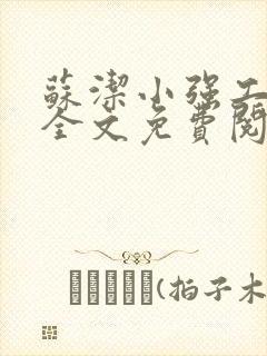 苏洁小强工地情全文免费阅读