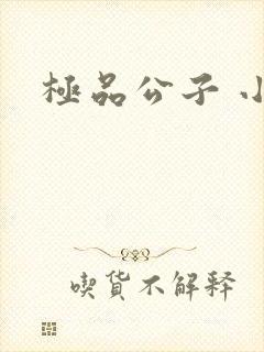 极品公子 小说