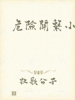 危险关系小说