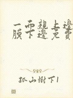 一面亲上边一面膜下边免费阅读封面
