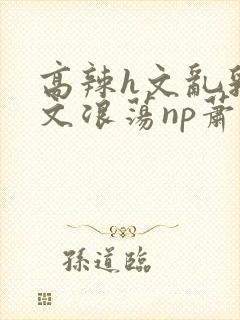 高辣h文乱乳h文浪荡np萧太后封面