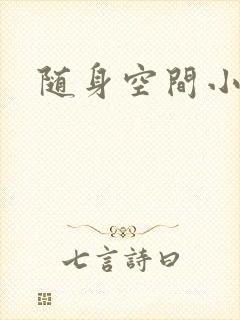 随身空间小说