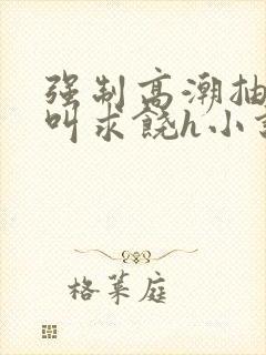 强制高潮抽搐哭叫求饶h小说封面