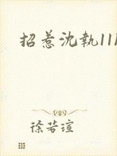 招惹沈执11h封面