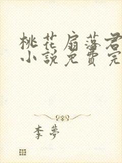 桃花扇落君不还小说免费完整版封面
