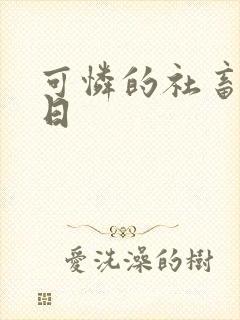 可怜的社畜东度日