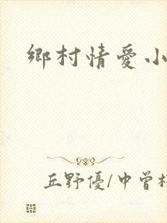 乡村情爱小说