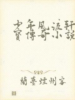 少年风流轩辕大宝传奇小说封面