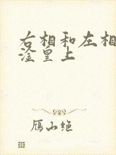 右相和左相一起淦皇上封面