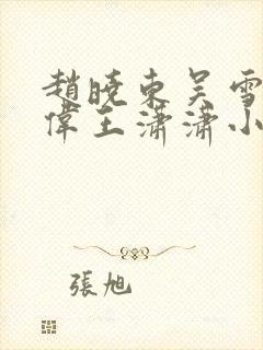 赵晓东吴雪晴郑伟王潇潇小说