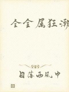 全金属狂潮小说